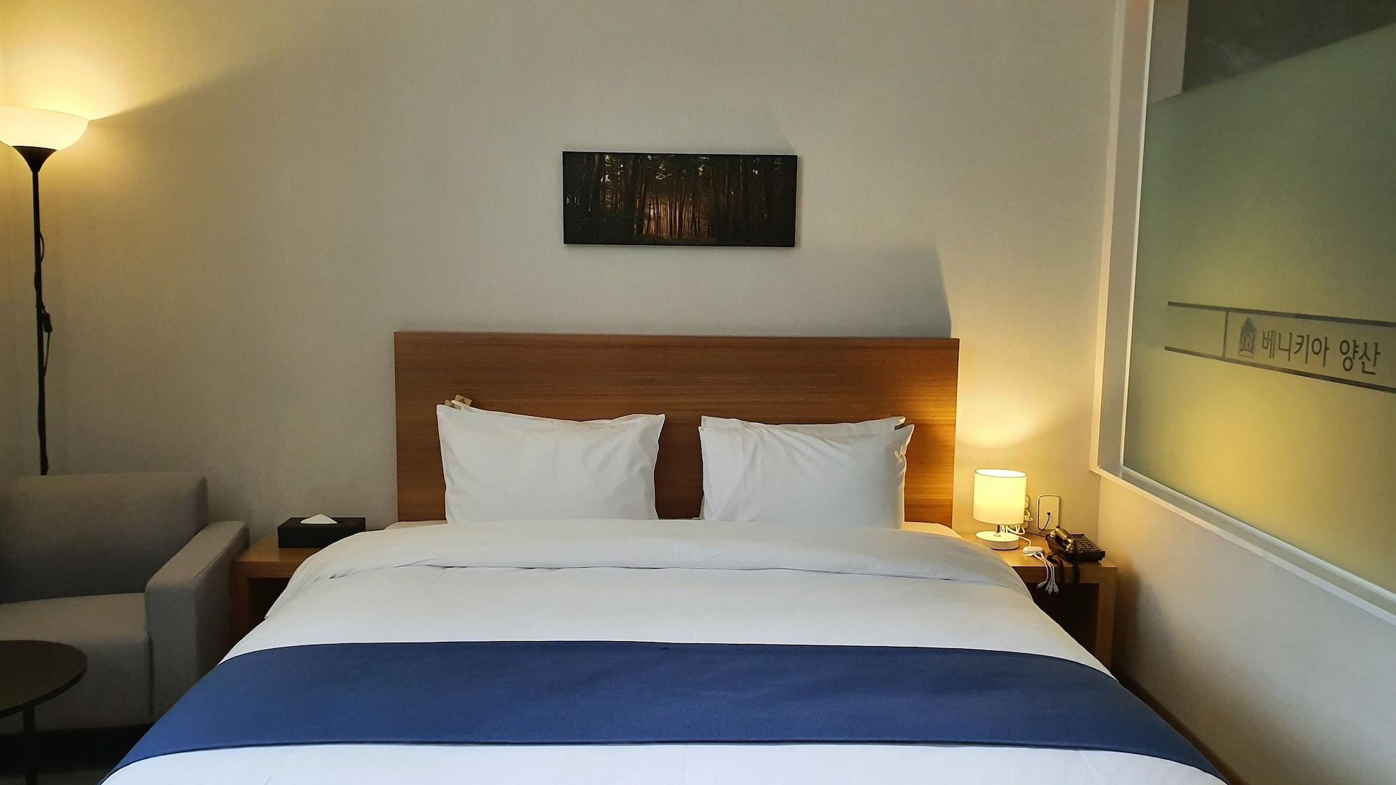 Benikea Hotel Yangsan Exteriör bild